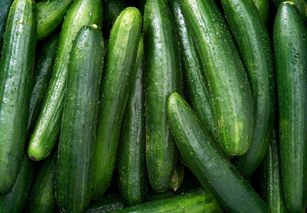<h4>Cucumber</h4>