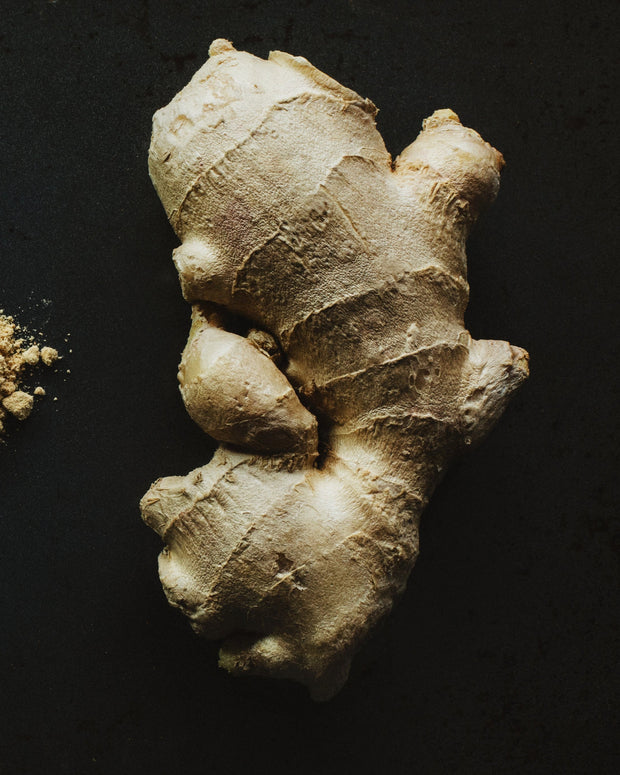 <h4>Ginger</h4>